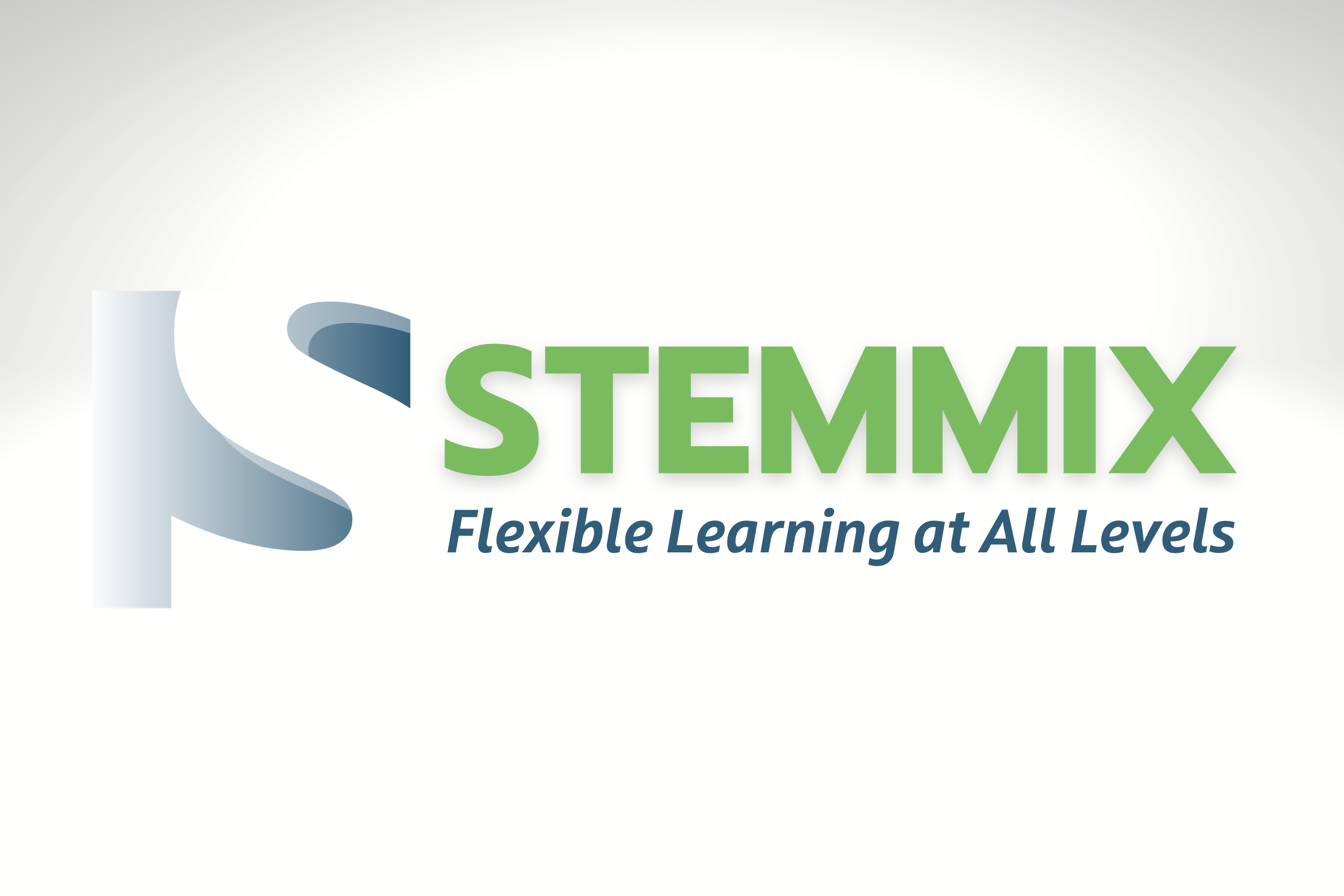 STEMMIX LLC
