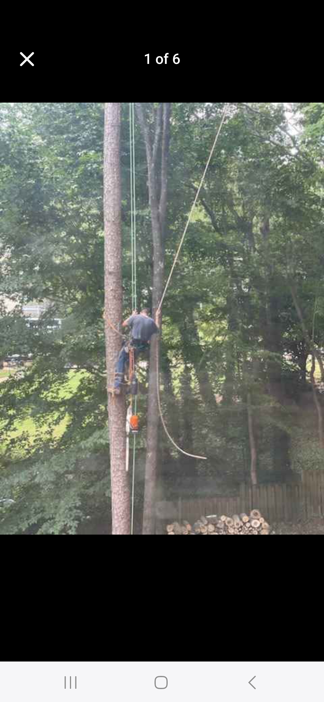 Bust Um Up Tree Service