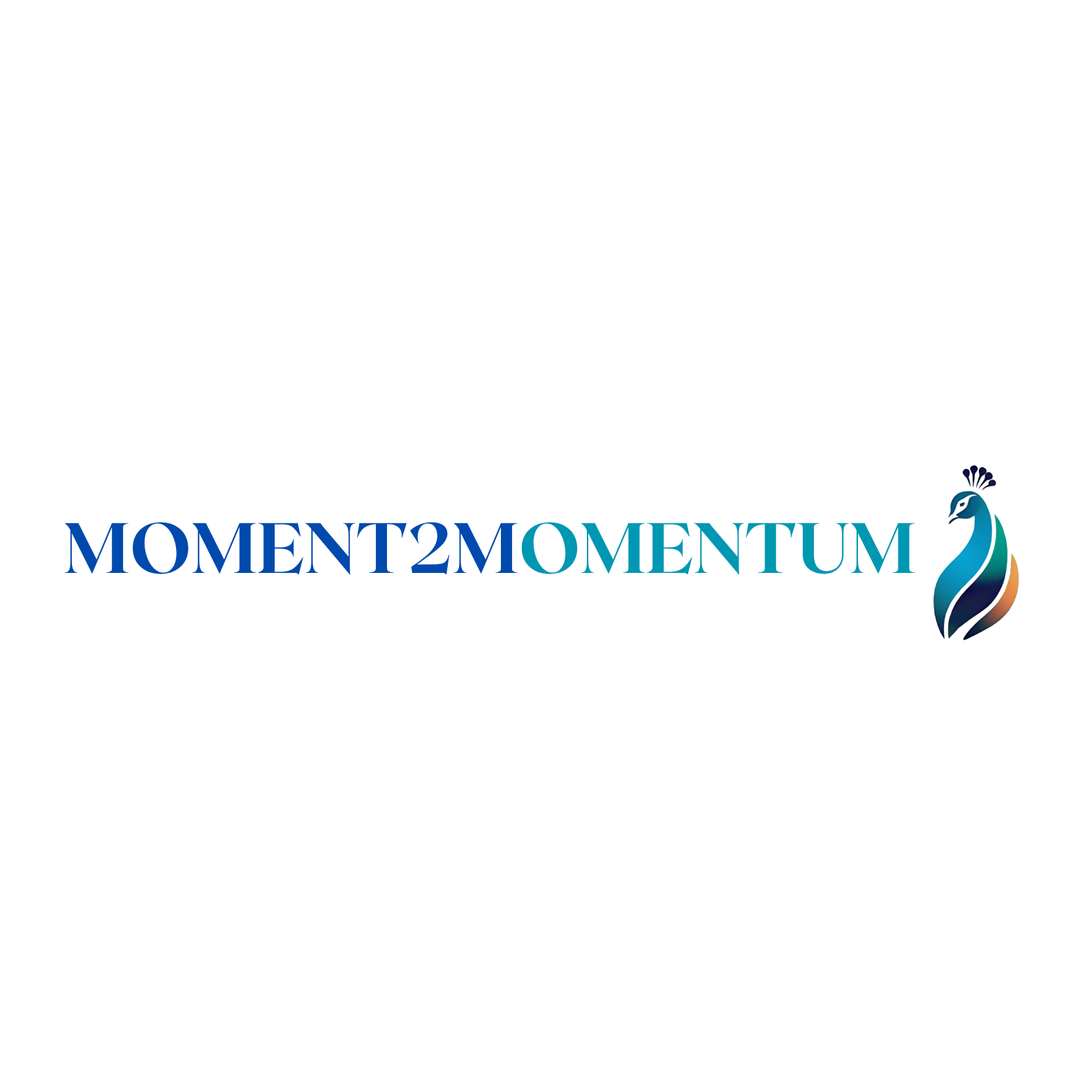 Momen2m, Ltd Co.