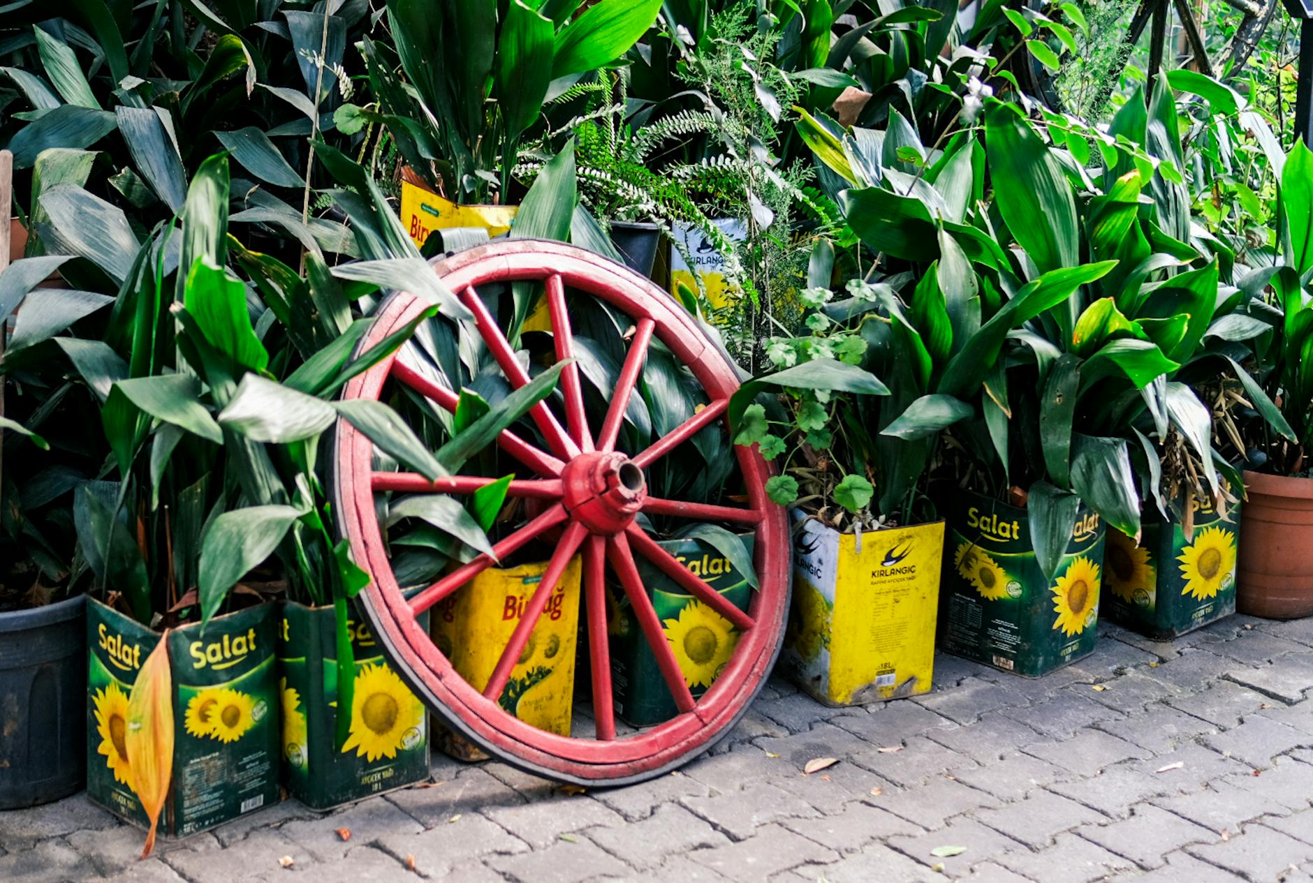 Anthony's Landscaping N Junk Removal