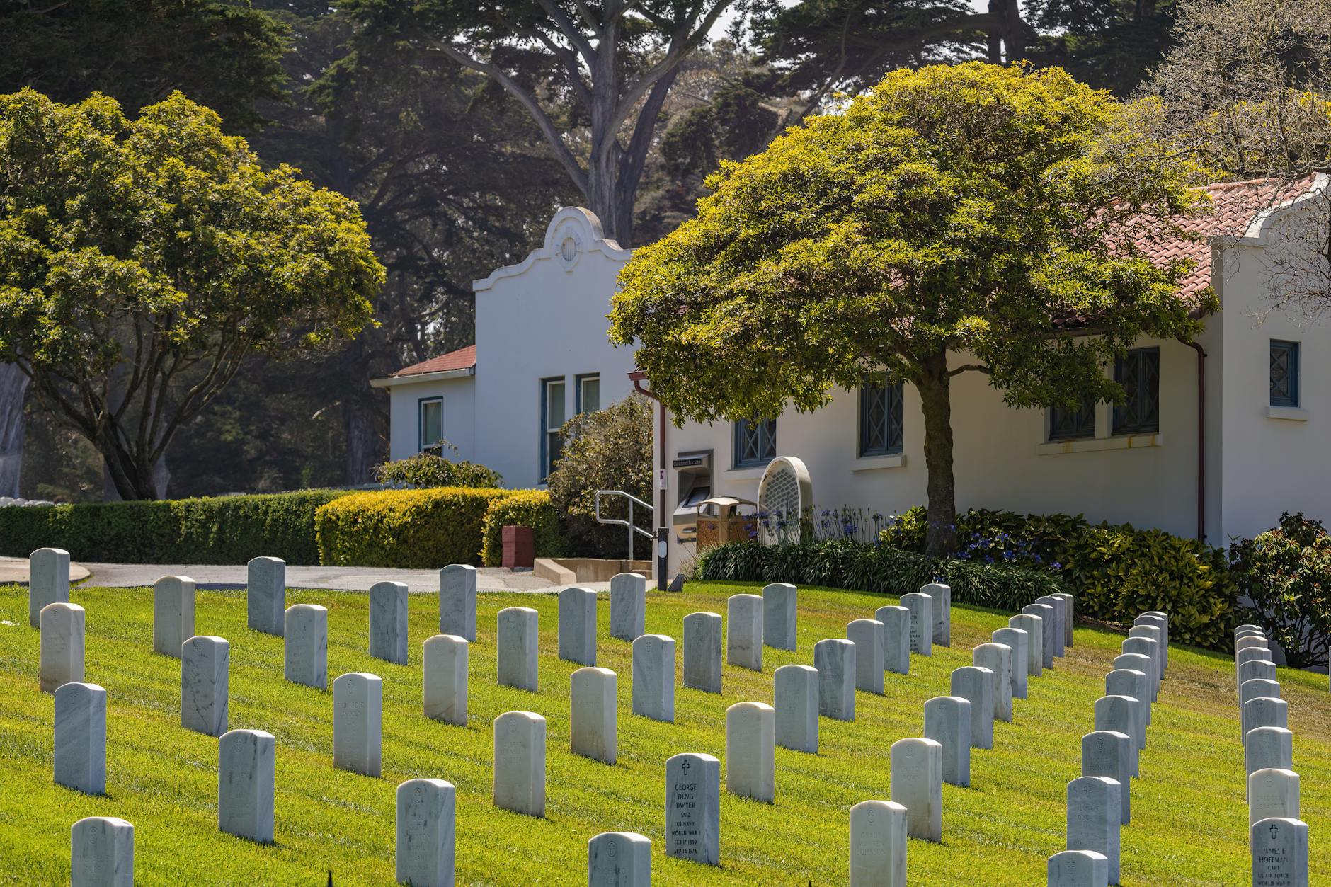 C&d Lawn And Tree Service