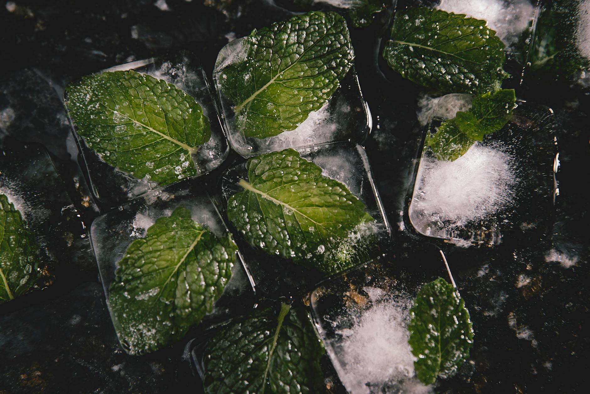 Frozen Glacier Llc