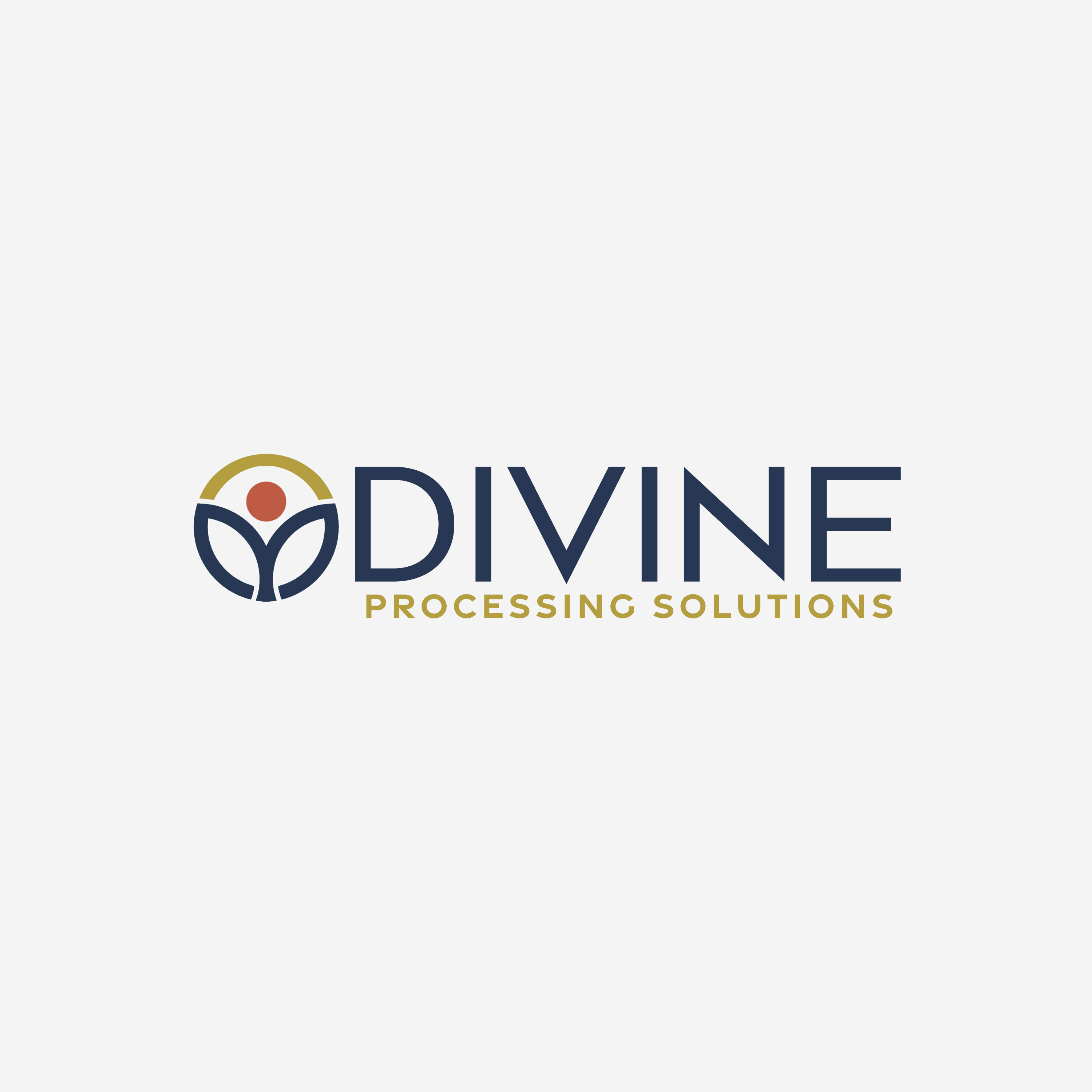 Divine Solutions Alliance