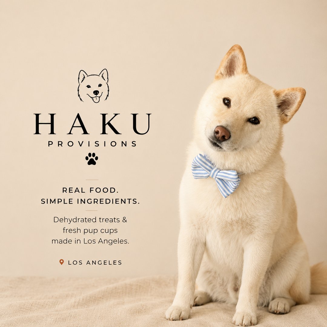Why I Started Making Real-Food Dog Treats