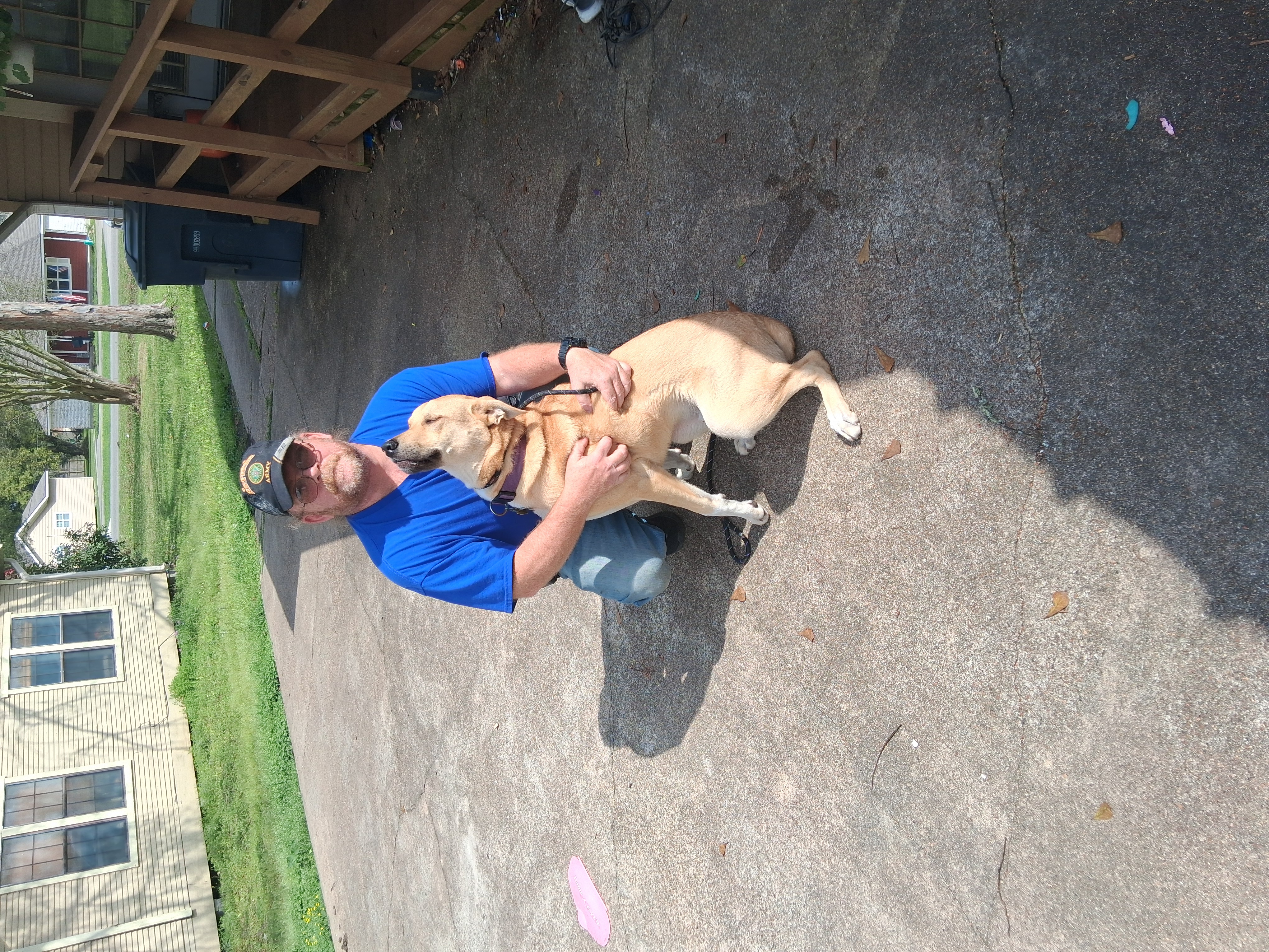 Every Day Counts: How Gentle Canine Training Builds Happier Homes, One Dog at a Time