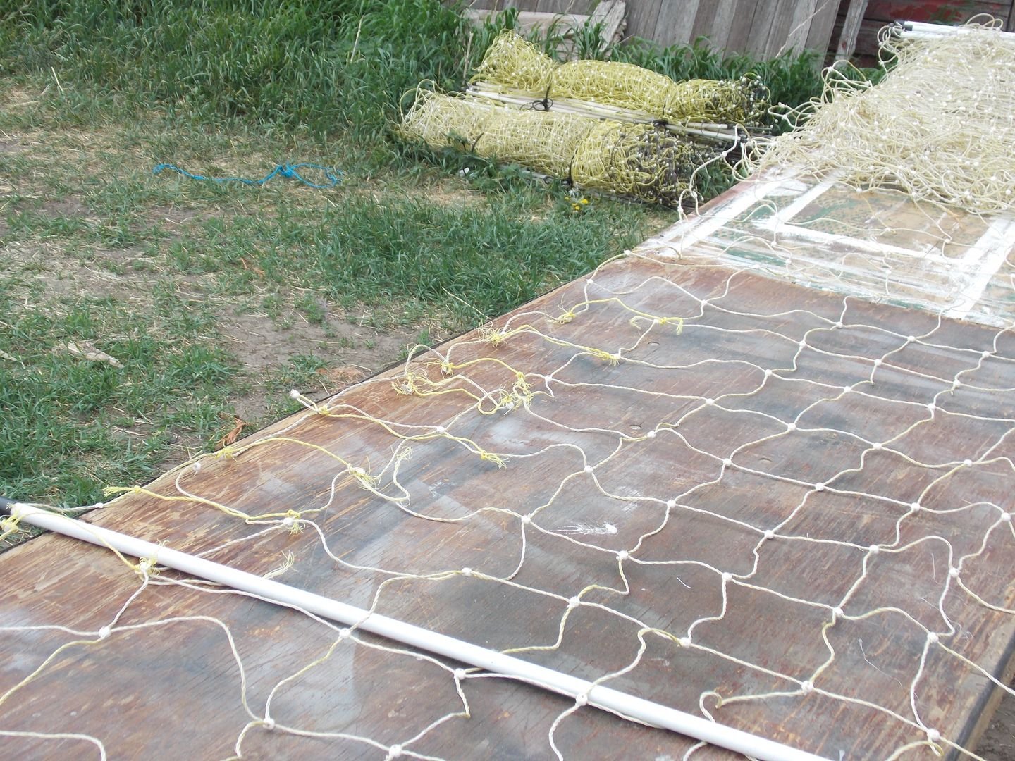 Spring Fencing Tune-Up: Behind the Scenes with Dakota Goat Squad