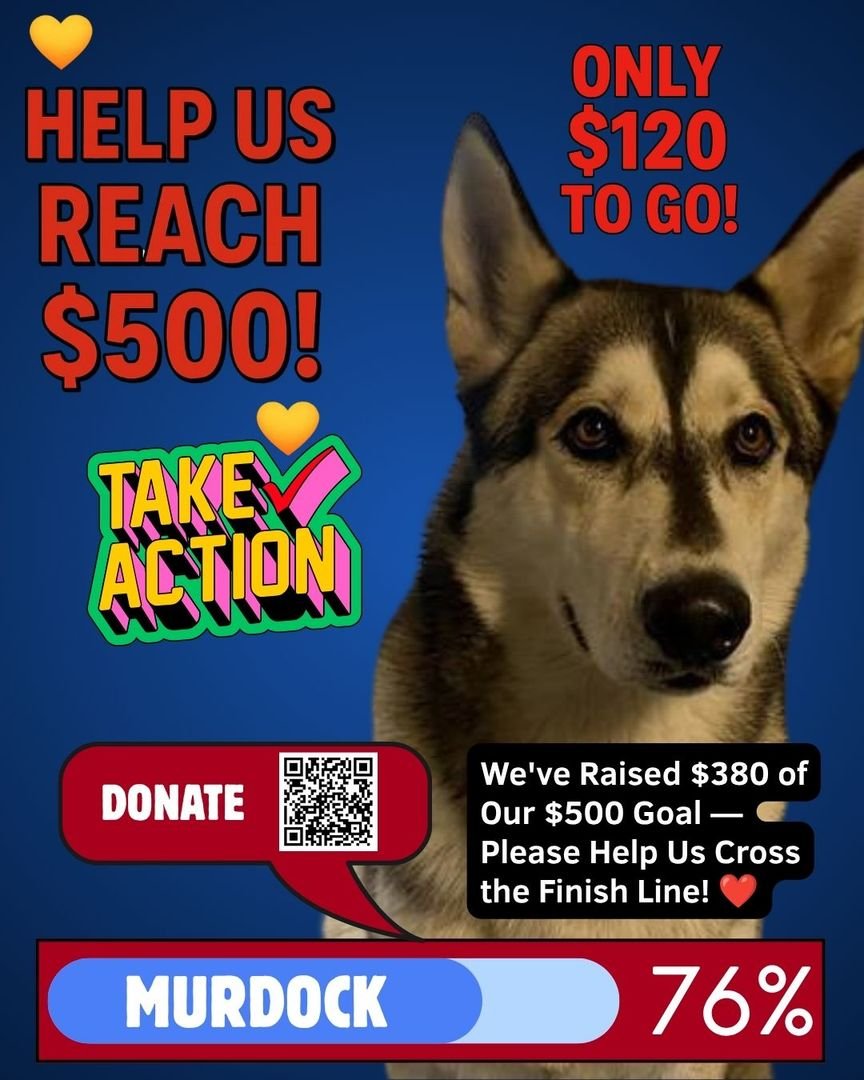 💛 $380 Raised of Our $500 Goal!