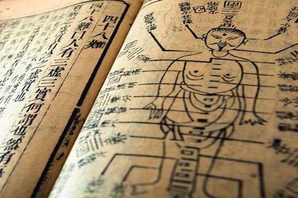 Beyond Symptoms: Integrating Traditional and Holistic Approaches for True Wellness