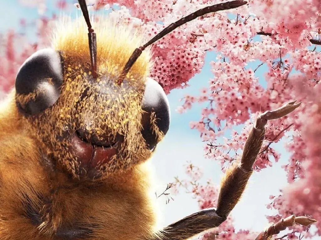 Why Bee Research Matters — And What Everyday Gardeners Can Do to Help Pollinators
