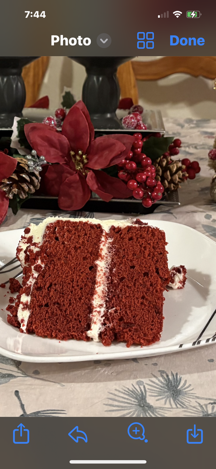 Kesh Patisseries: The Art of Quiet Luxur