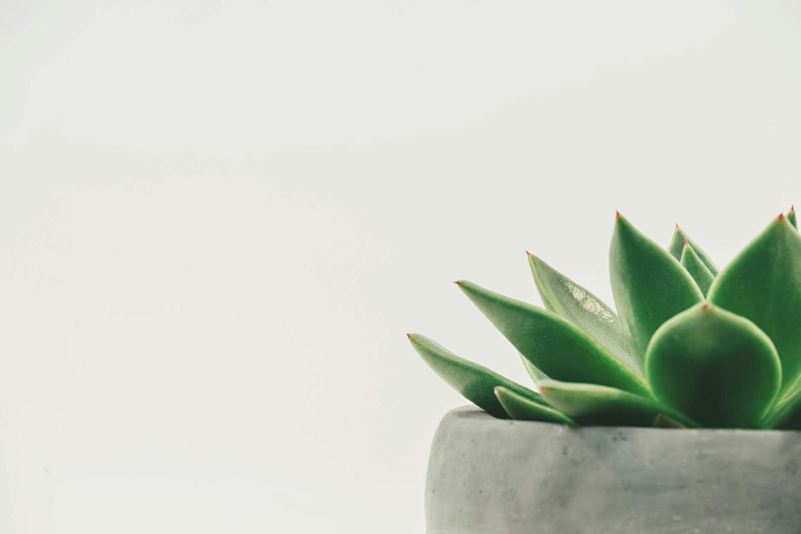 Embracing Life’s Imbalance: Lessons from Temporary Turbulence