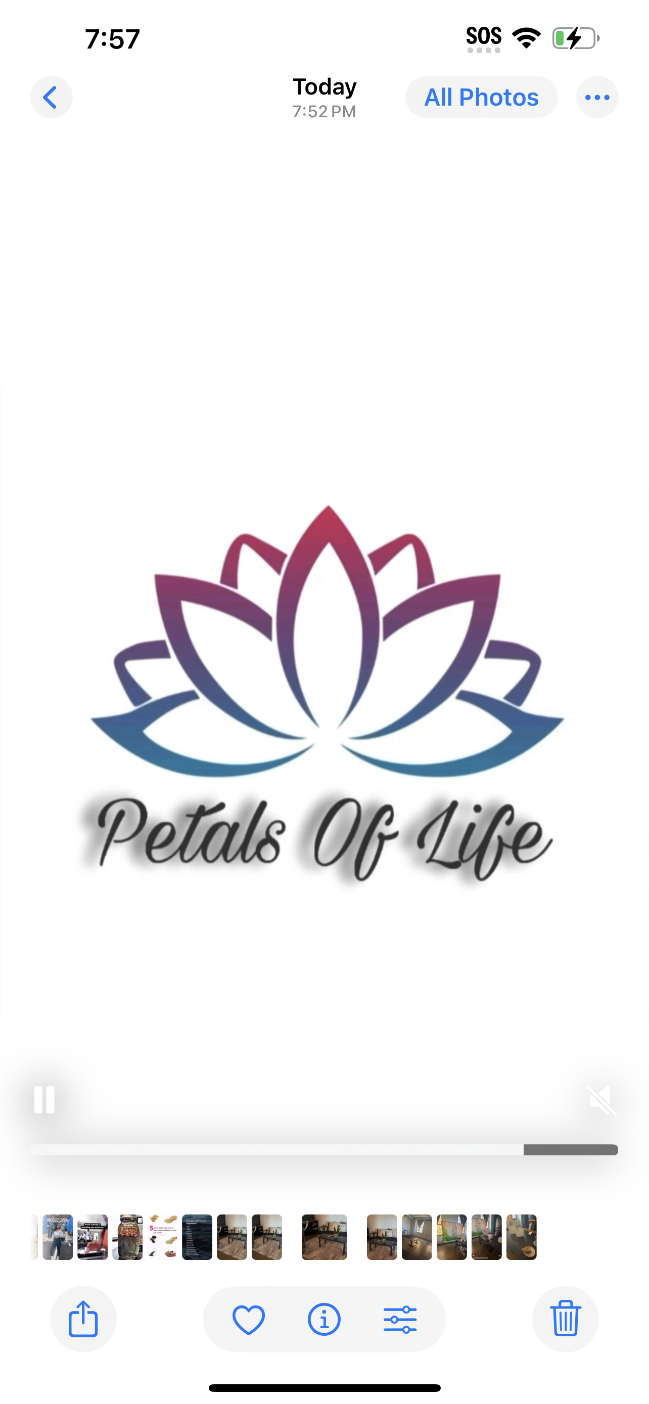 Petals Of Life