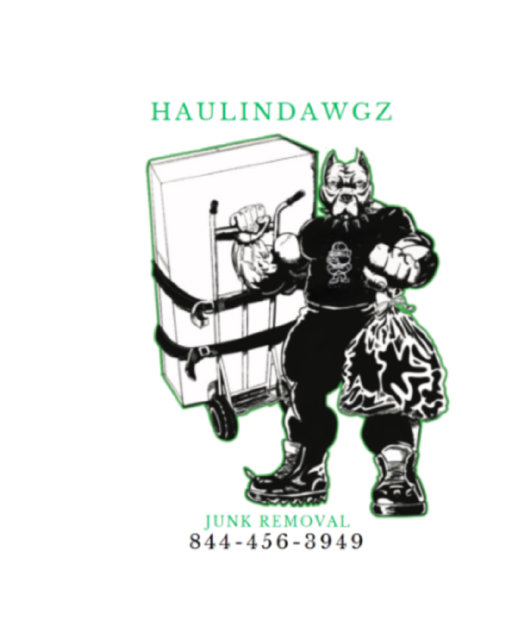 Haulindawgz Junk Removal