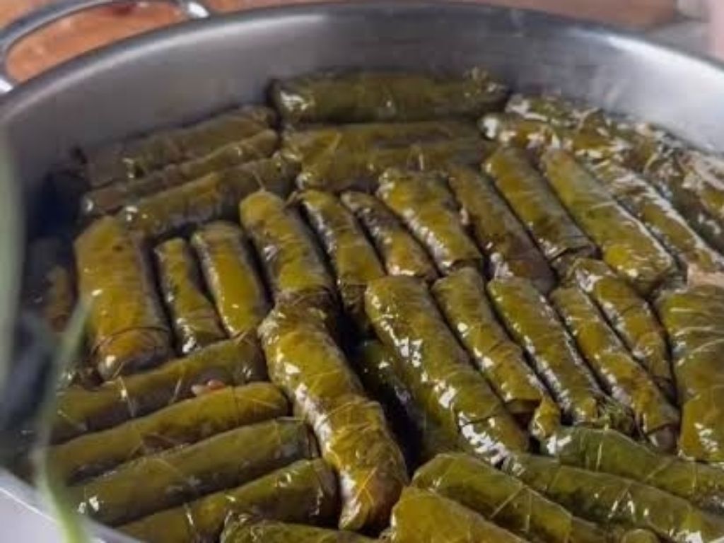 Zeytinyağlı Sarma (Dolma)