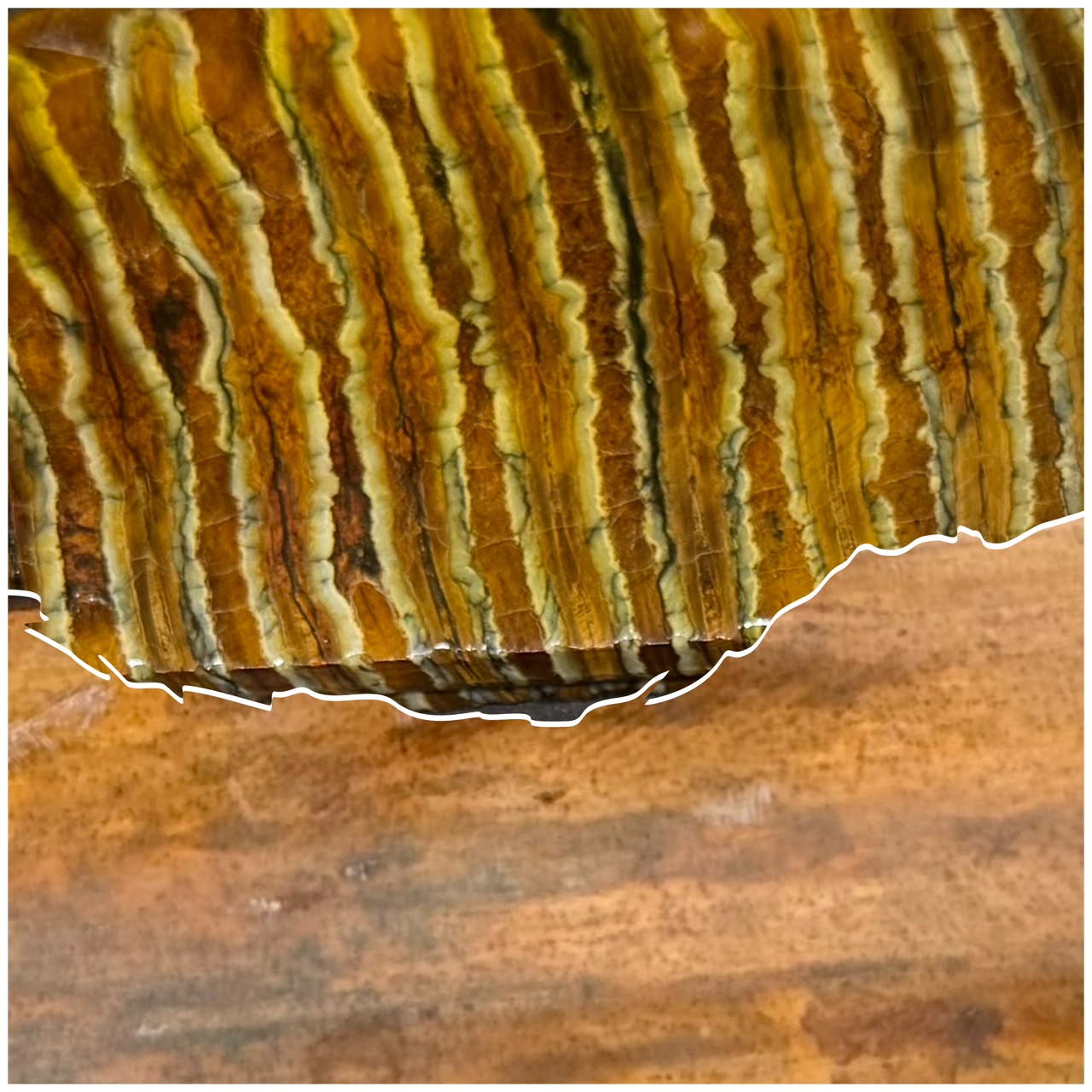 Close-up of fossil and seashell handle material