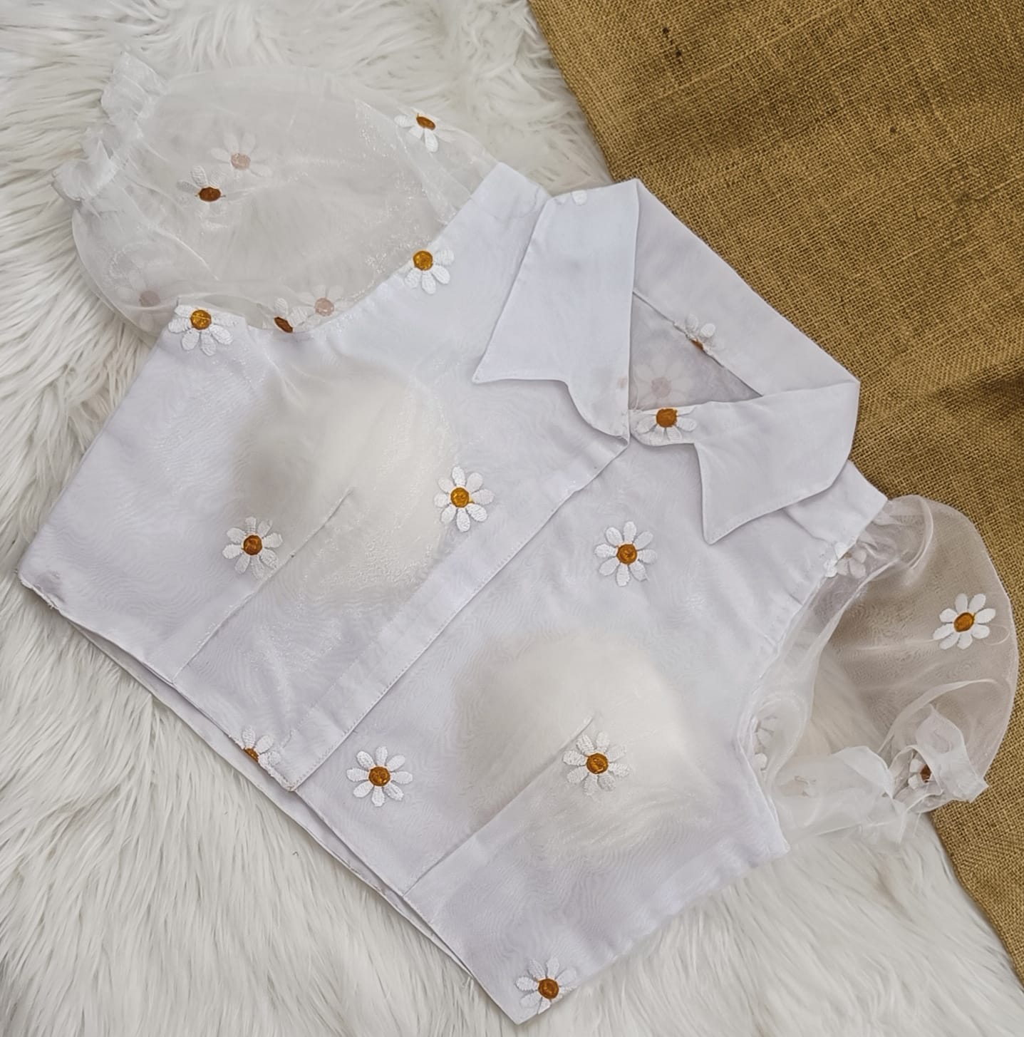 Collered Blouse