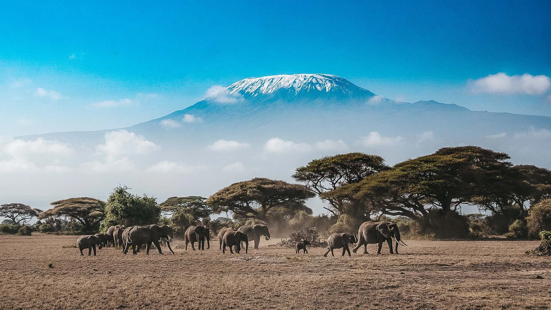 Quénia e Ilhas do Índico,