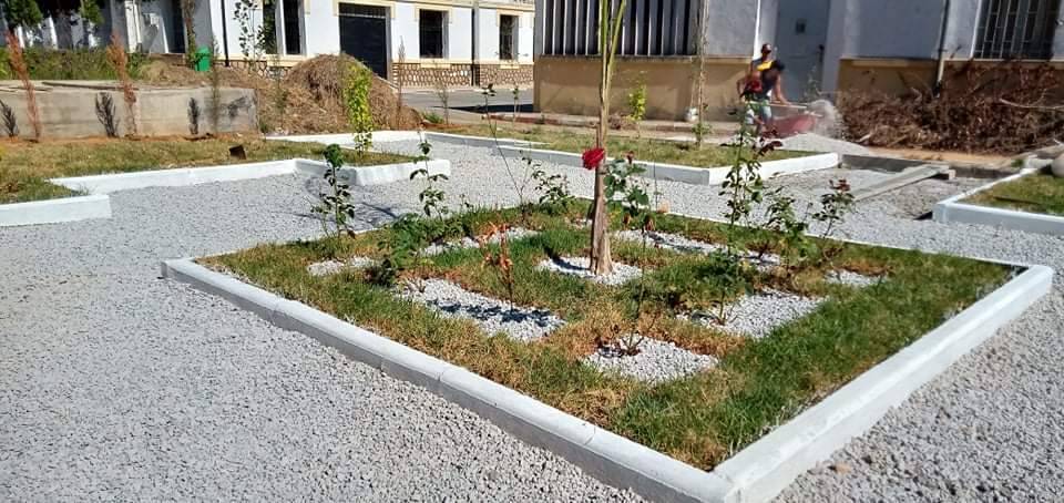 دراق جلول 