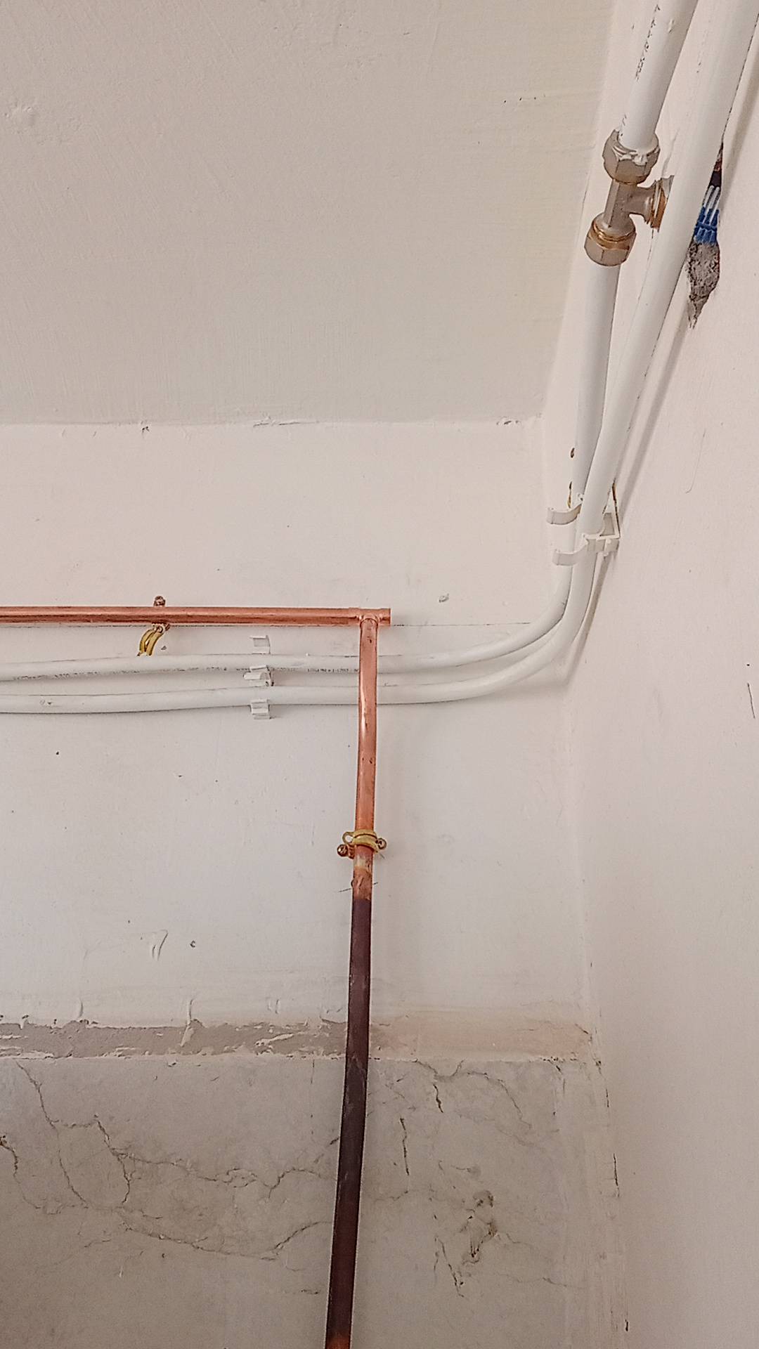 Gallery image 14