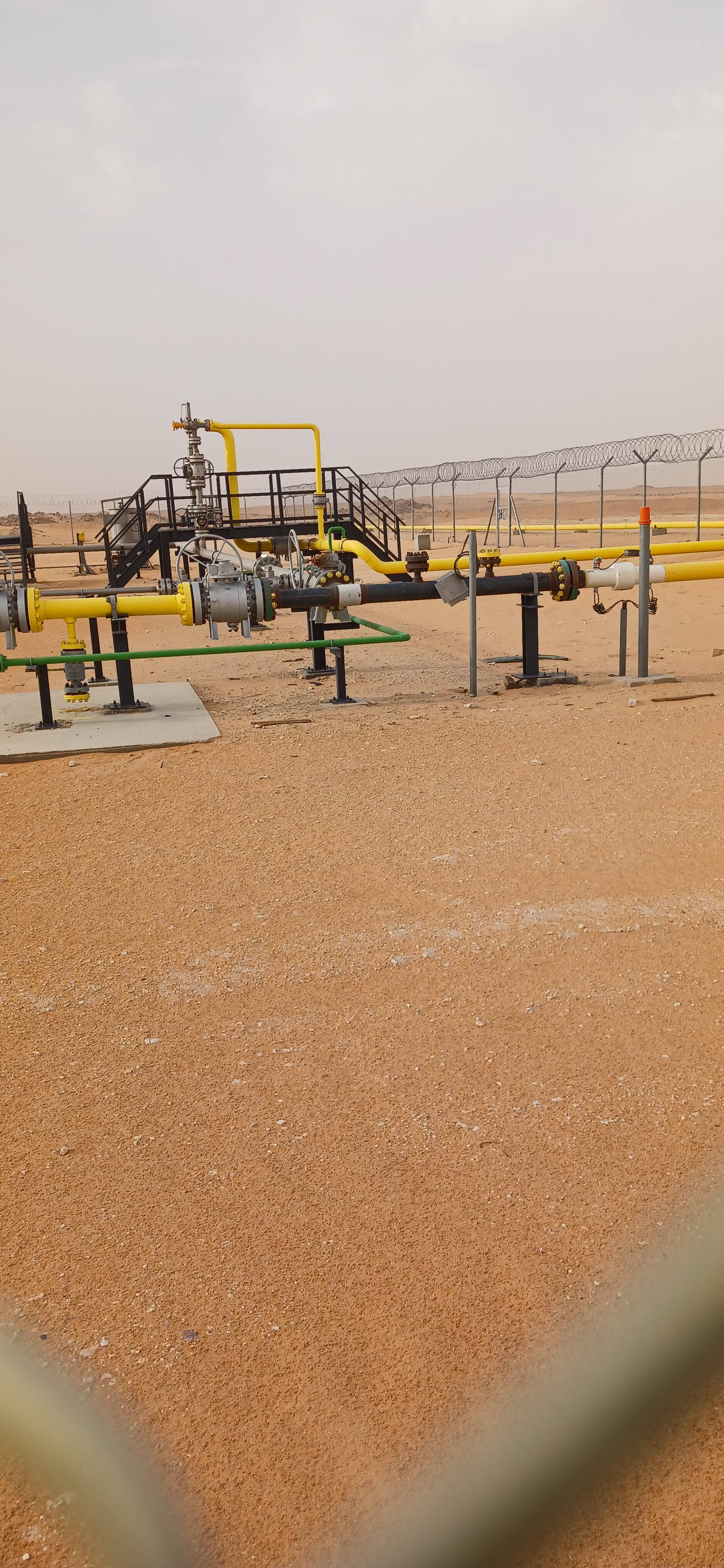 Gallery image 10