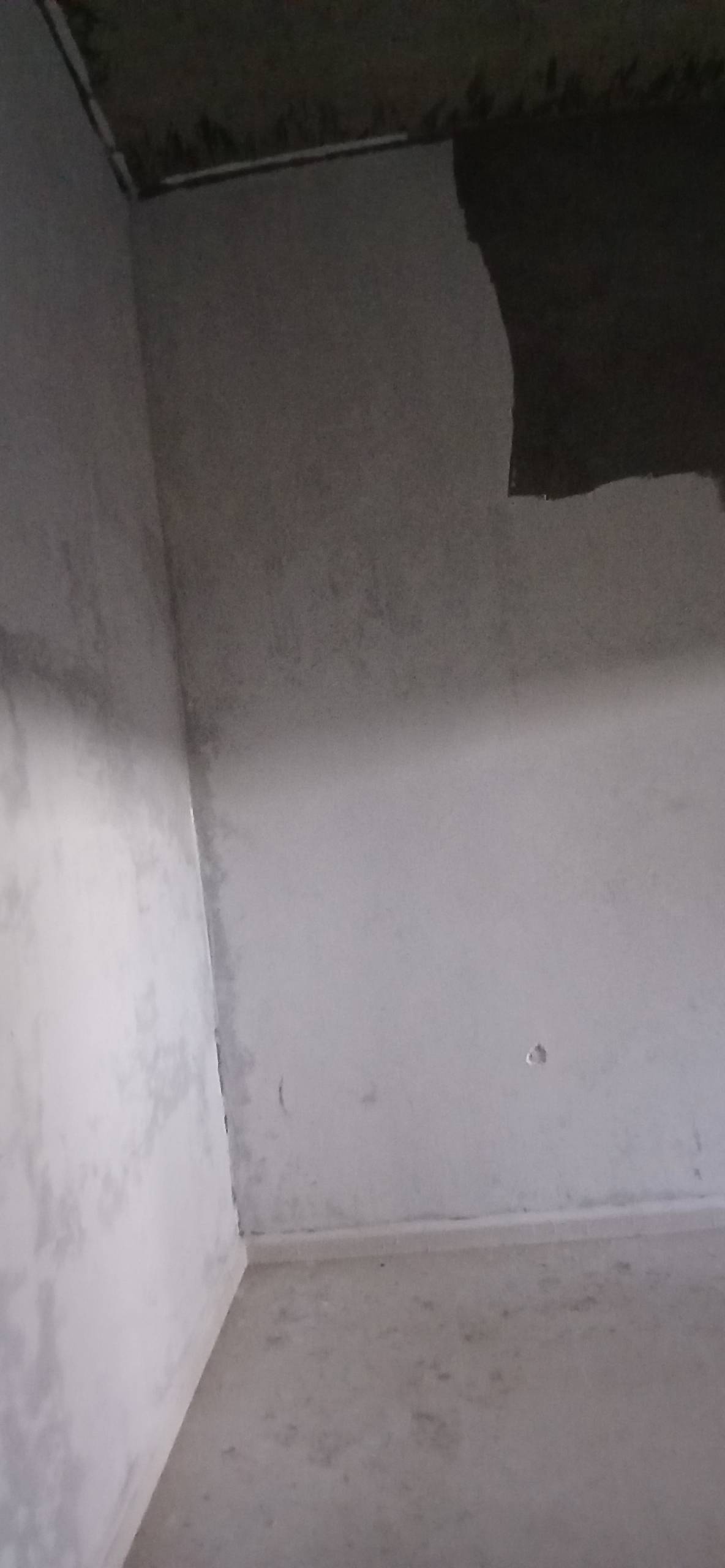 Gallery image 20