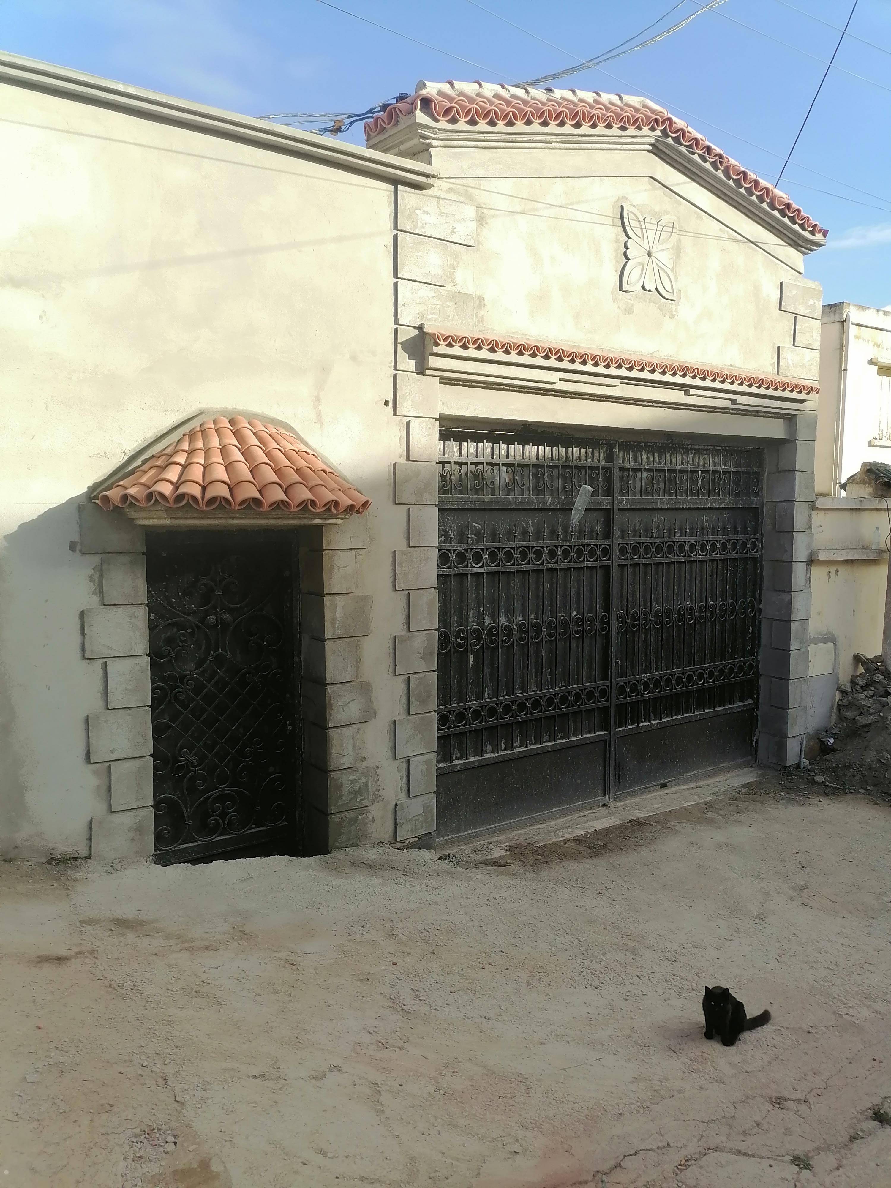 Gallery image 14