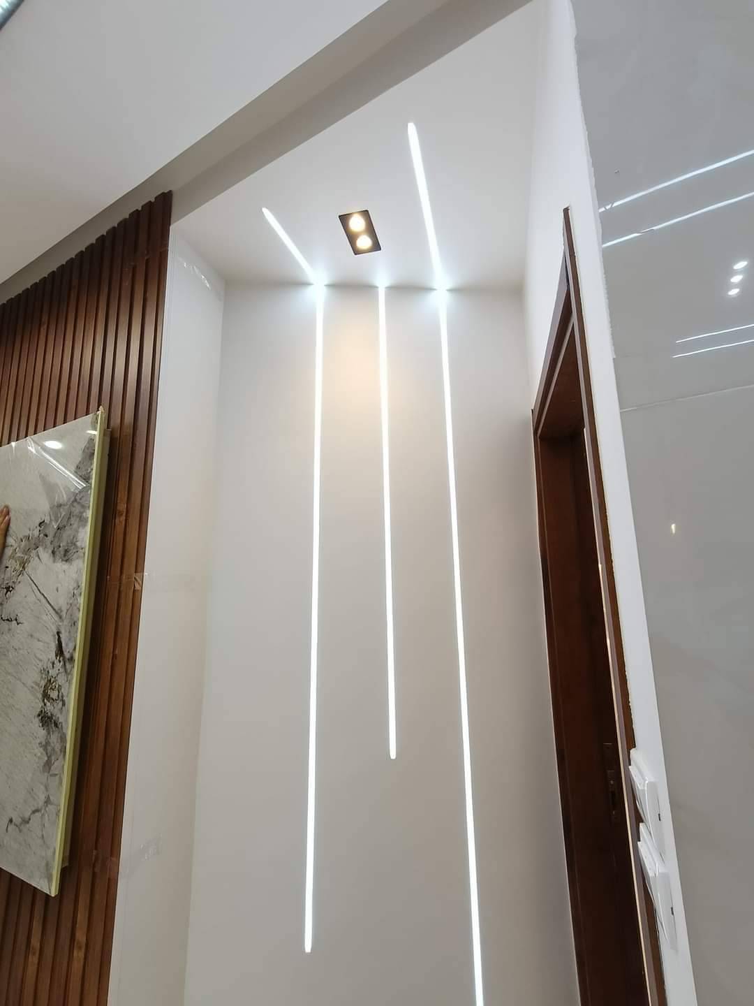 Gallery image 19