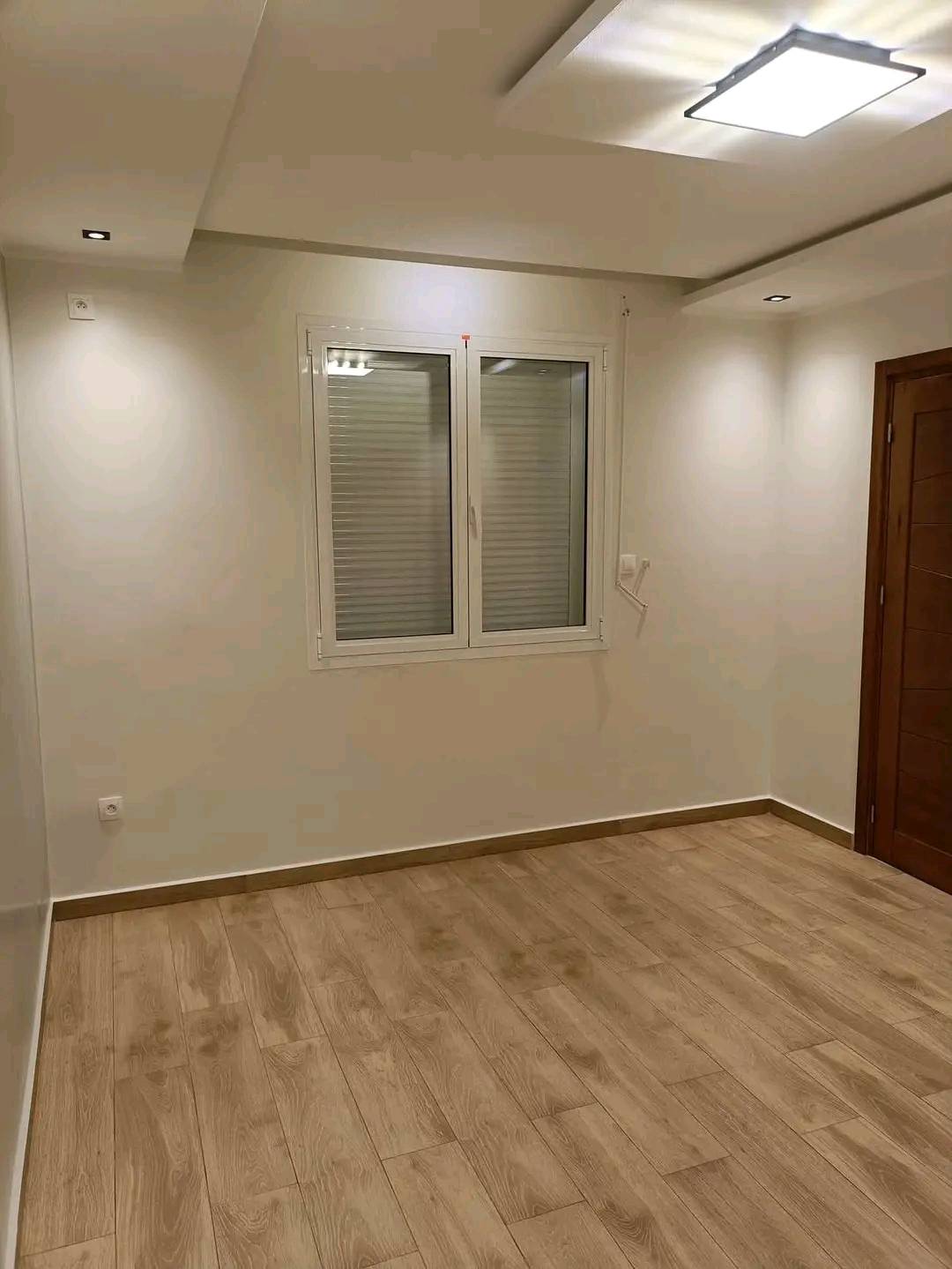 Gallery image 12