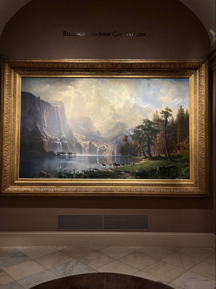 Gallery image 4