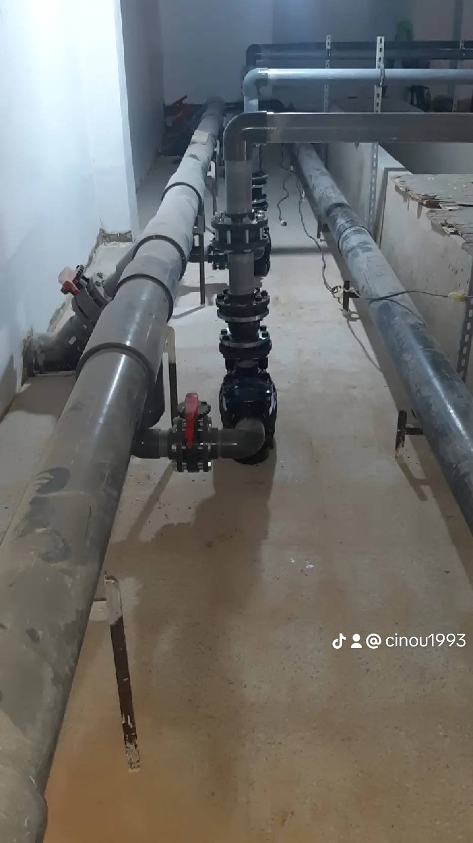 Gallery image 13
