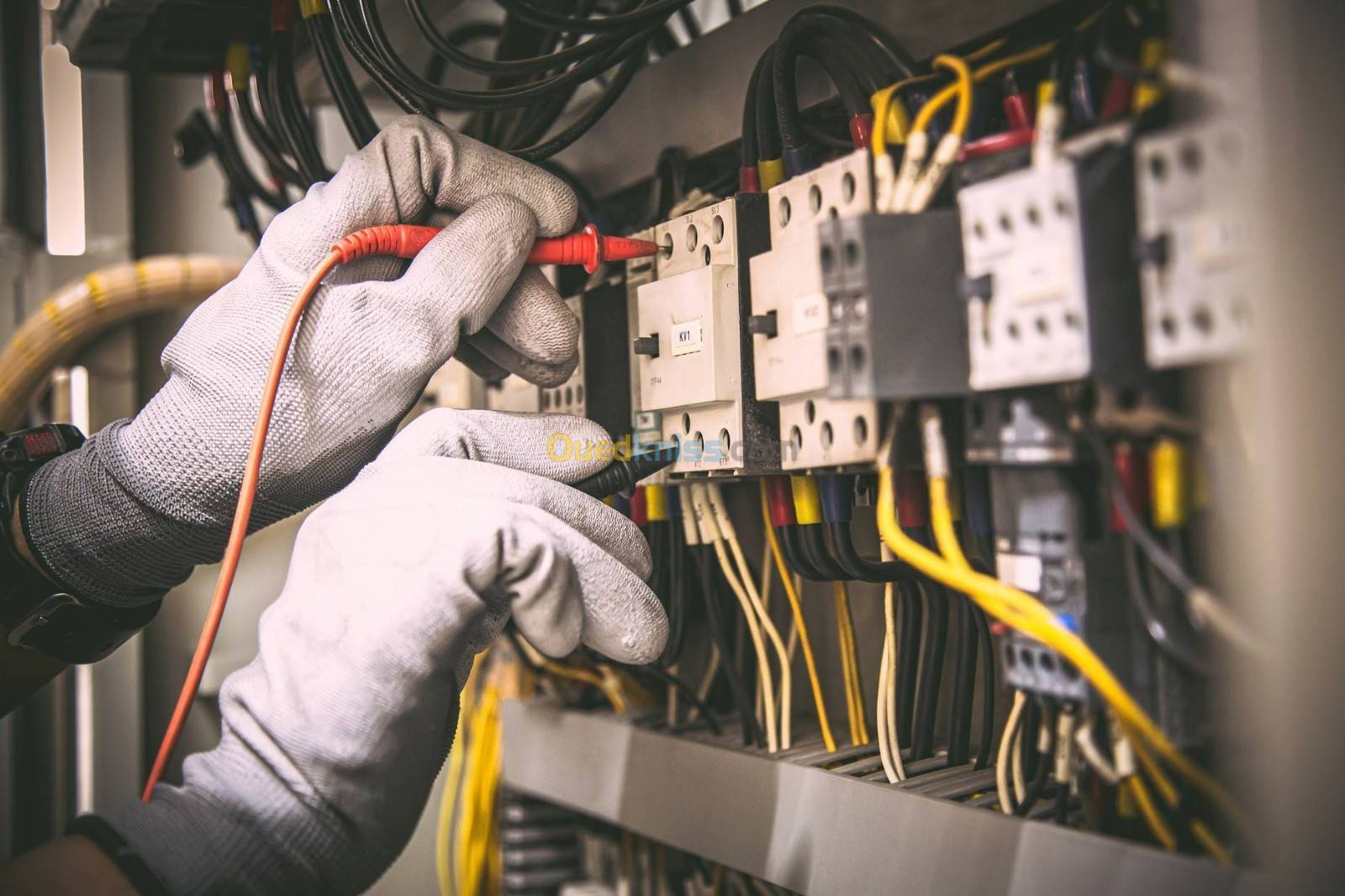 Igui Electric 