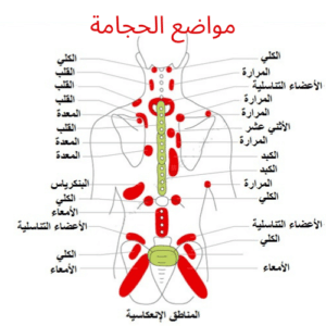 Gallery image 7