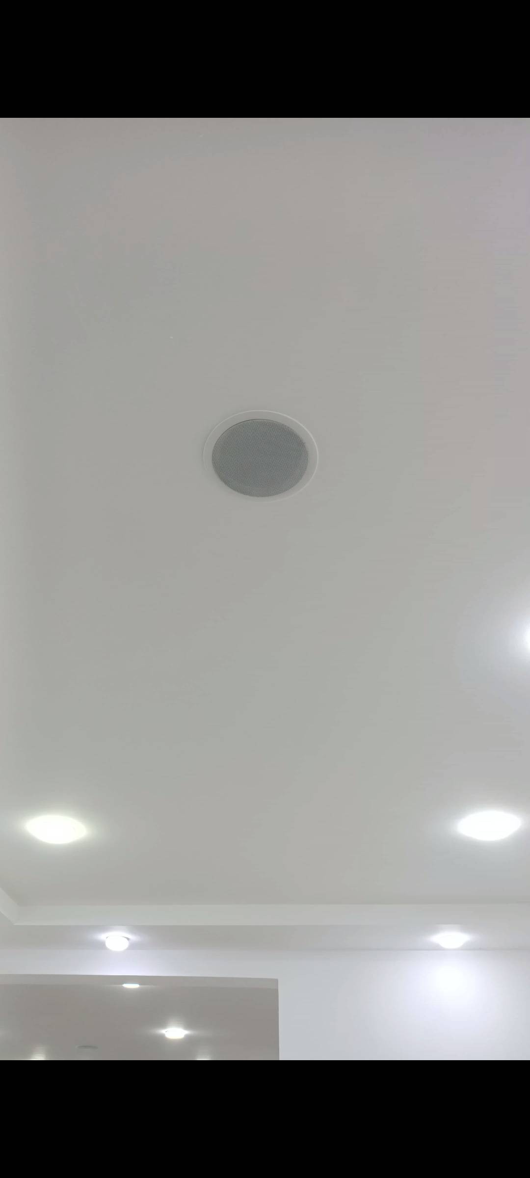 Gallery image 16