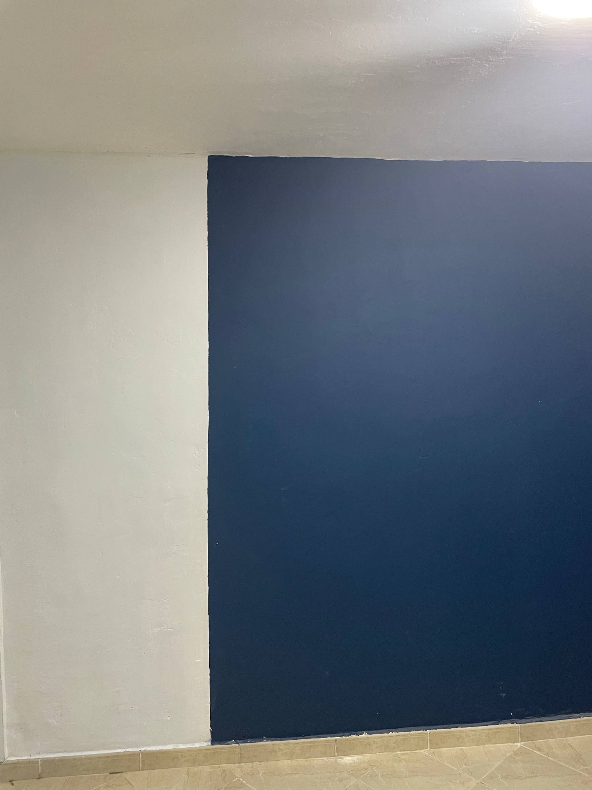 Gallery image 8