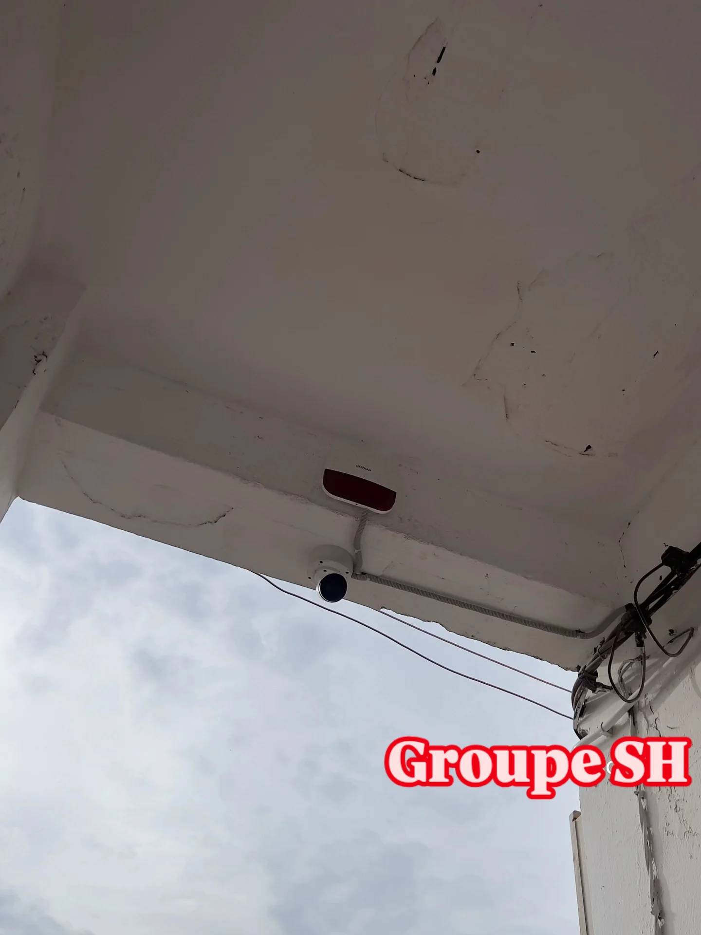 Gallery image 13
