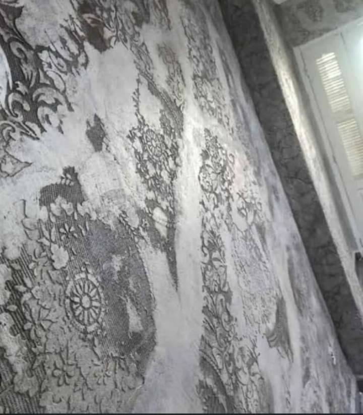 Gallery image 11