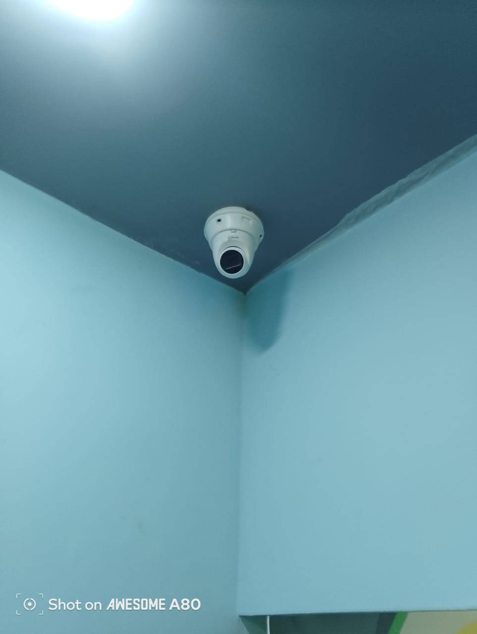 Gallery image 10