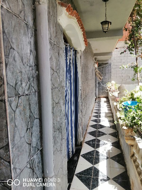 Gallery image 7