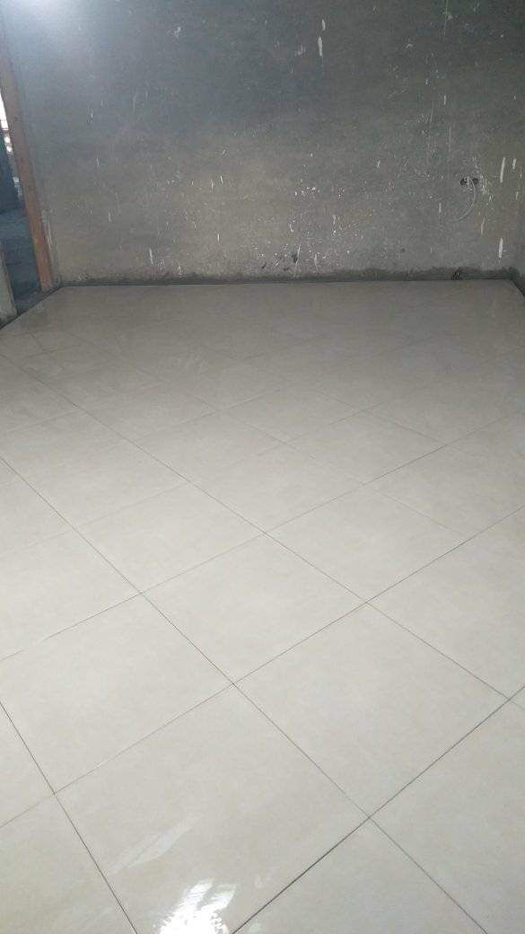 ماجد برقاد