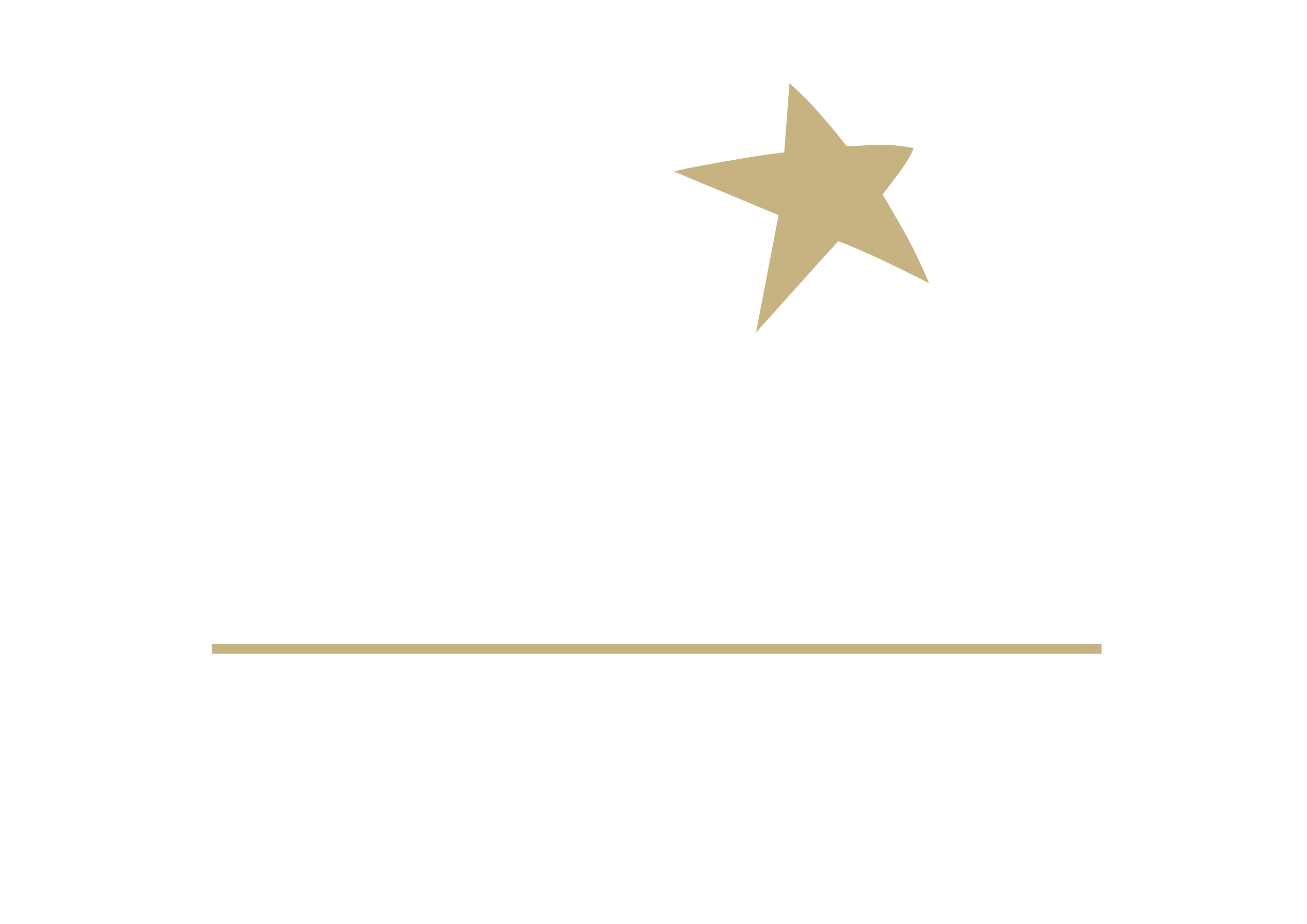 Starlite Occident Marbella