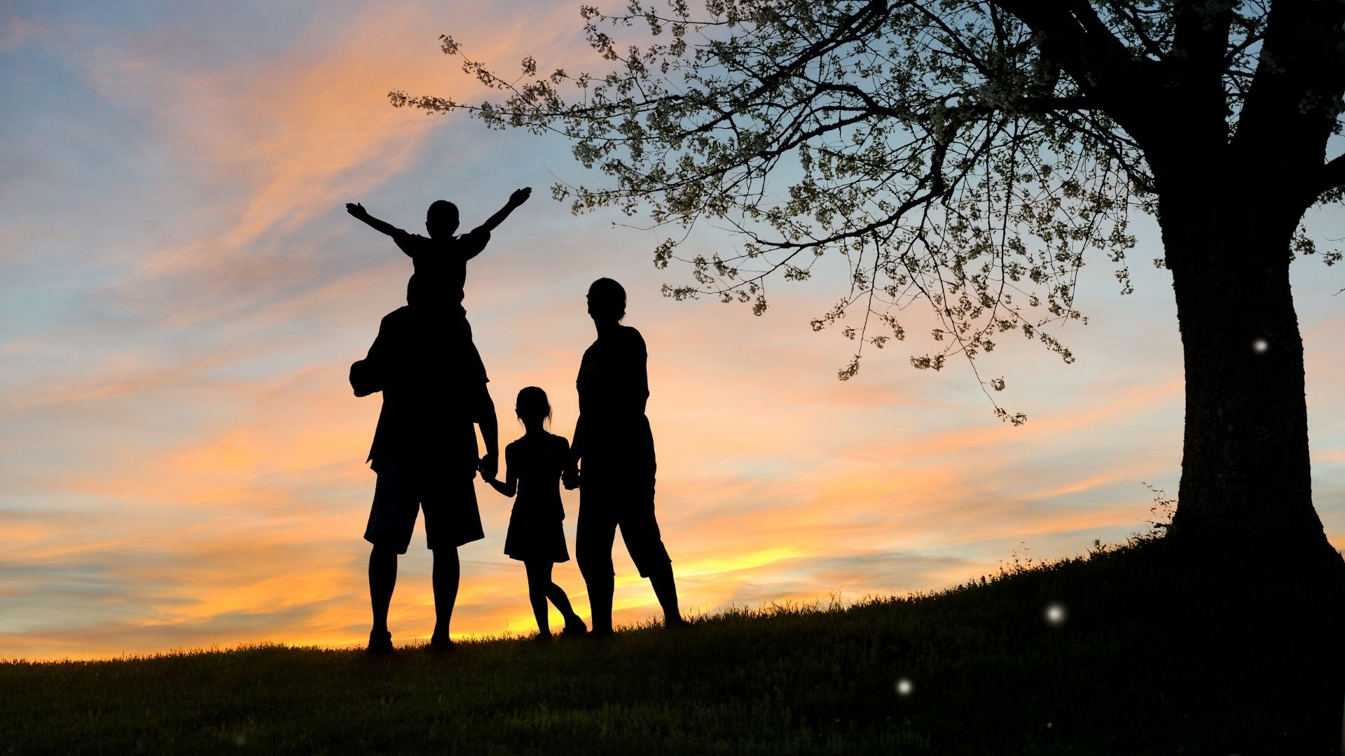 Relazione familiare e condizionamenti, come un genitore può affrontare un passato difficile.