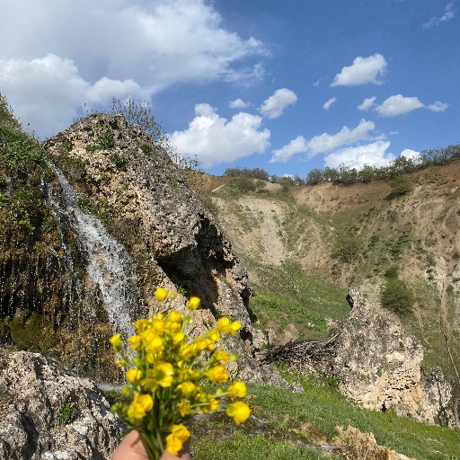 Şuşu