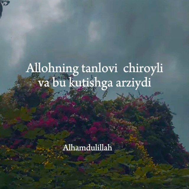 Adizbek Ravshanqulov