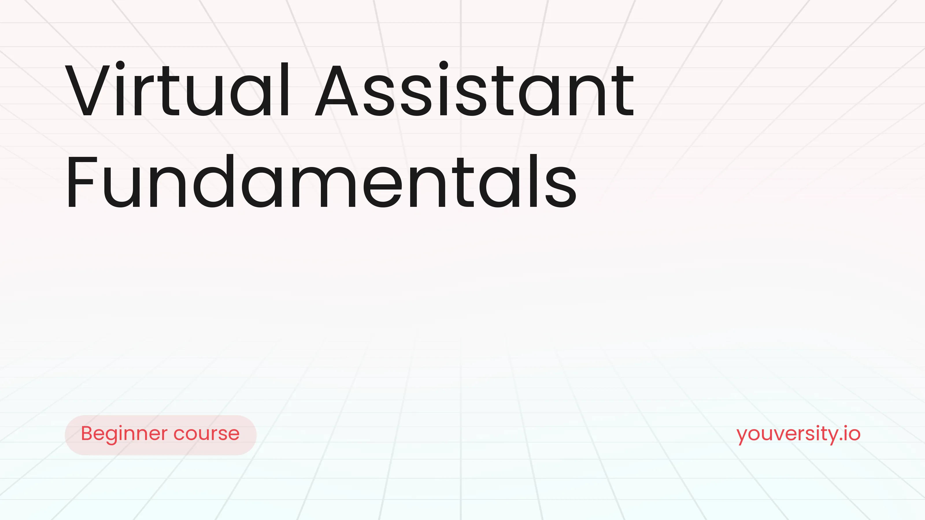 Virtual Assistant Fundamentals