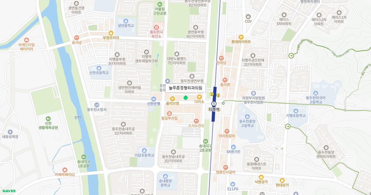 늘푸른정형외과의원