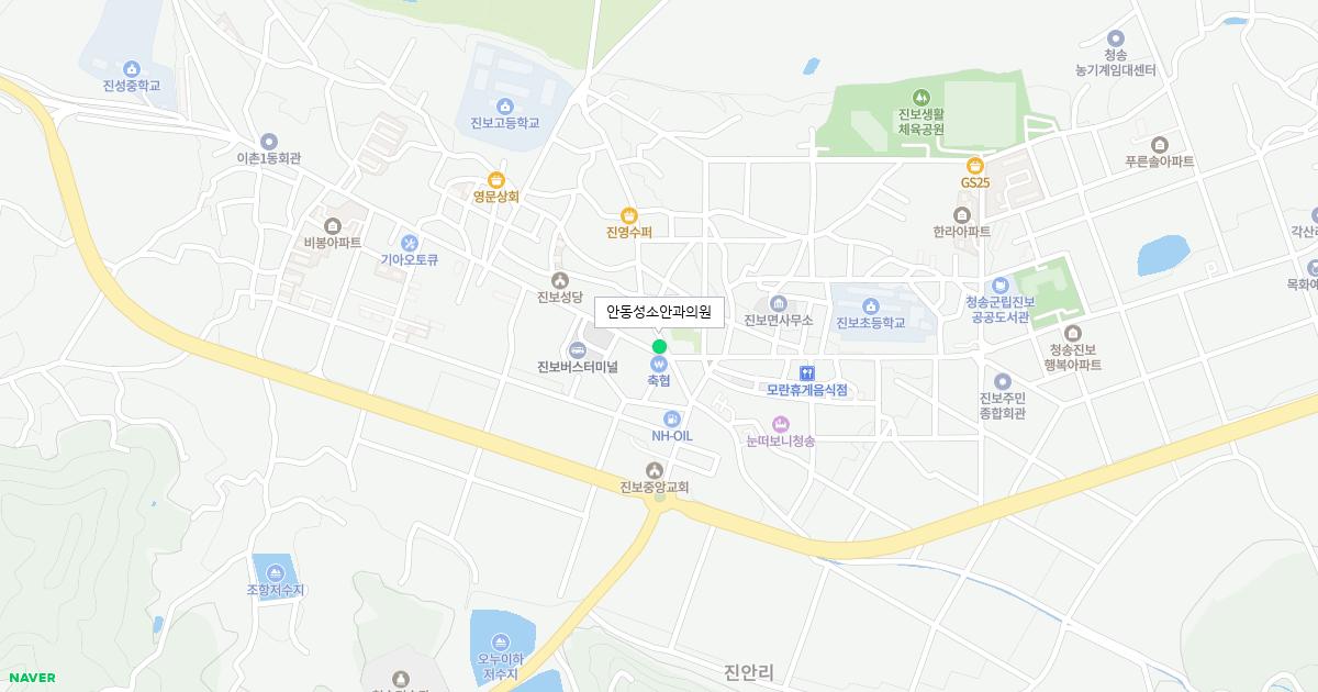 안동성소안과의원