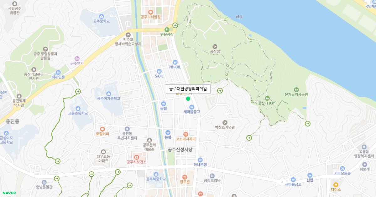 공주대한정형외과의원