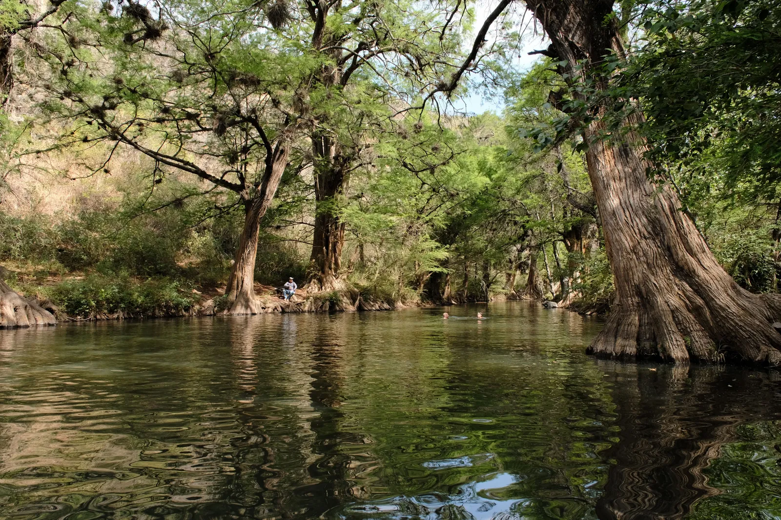Río al fondo de la Barranca de Cocheros con vegetación alrededor.