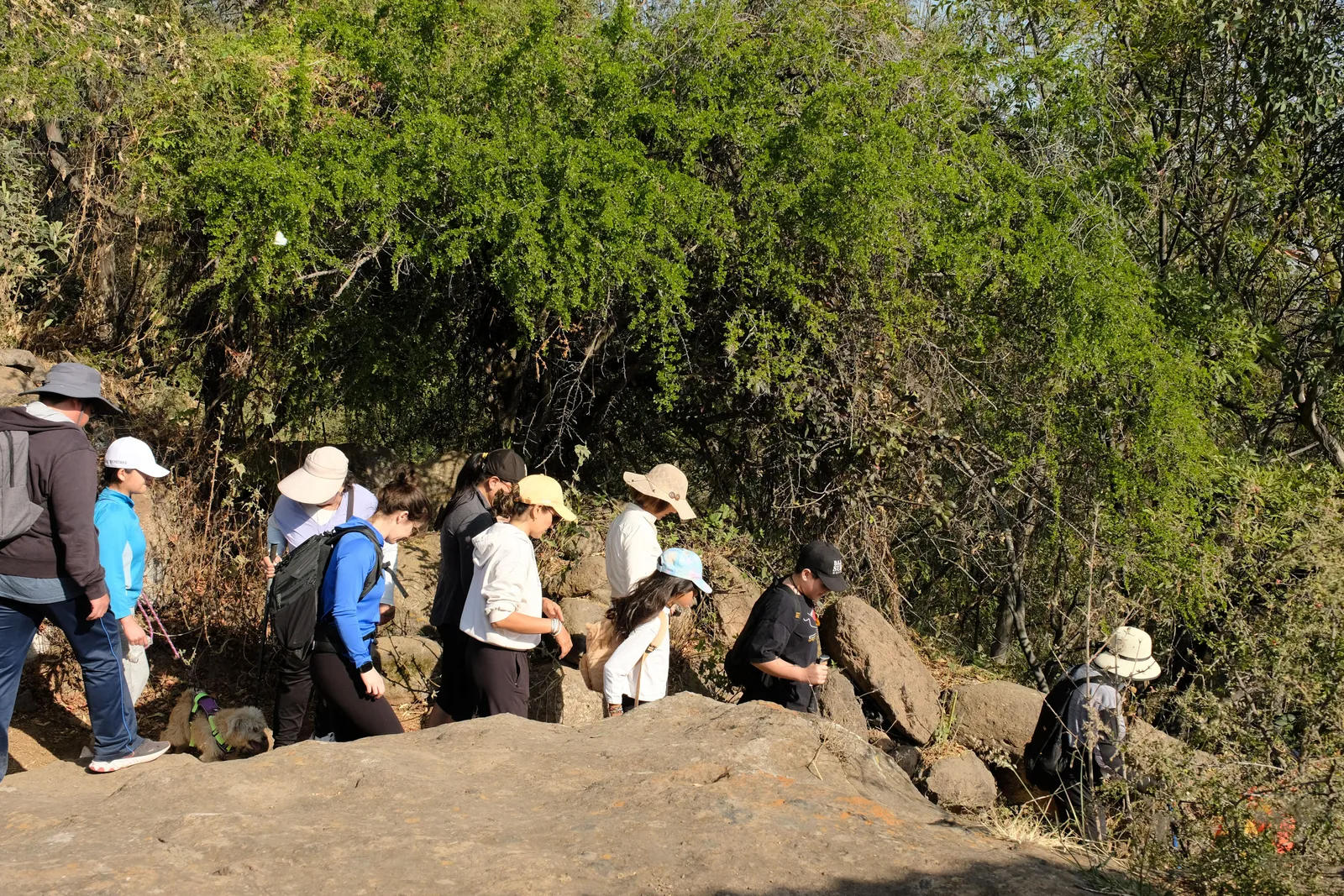 Grupo de senderismo disfrutando una salida guiada en Barranca de Cocheros.