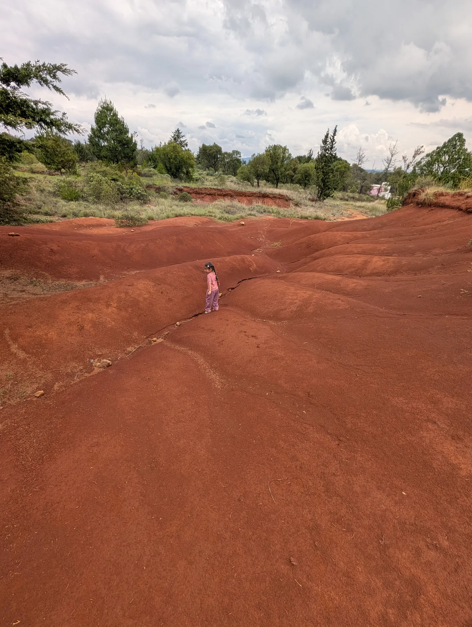 Vista amplia de las Dunas Rojas de Amealco con terreno rojizo, árboles y cielo nublado en Querétaro.